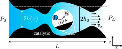 The interplay of shape and catalyst distribution in the yield of compressible flow microreactors (The Journal of Chemical Physics, 2024)