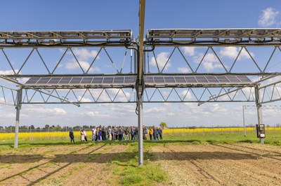 Photovoltaik trifft Landwirtschaft: Agri-PV-Systeme im Fokus des 3. Solar TAP Industry