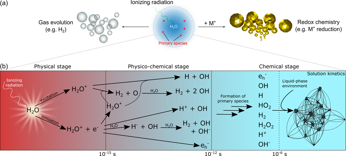 „Advanced Materials“ veröffentlicht Review-Artikel über Einfluss ionisierender Strahlung auf die Quantifizierung in der In Situ und Operando LP-TEM