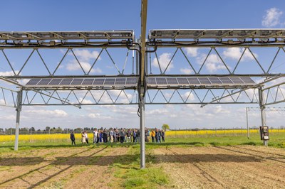 Photovoltaics meets agriculture: Agri-PV systems in the focus of the 3rd SolarTAP Industry