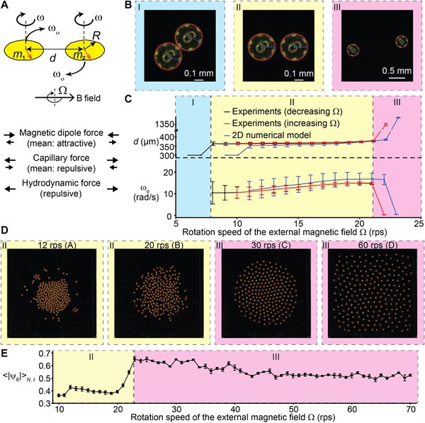 Order and information in the patterns of spinning magnetic micro-disks at the air-water interface (Science Advances, 2022)