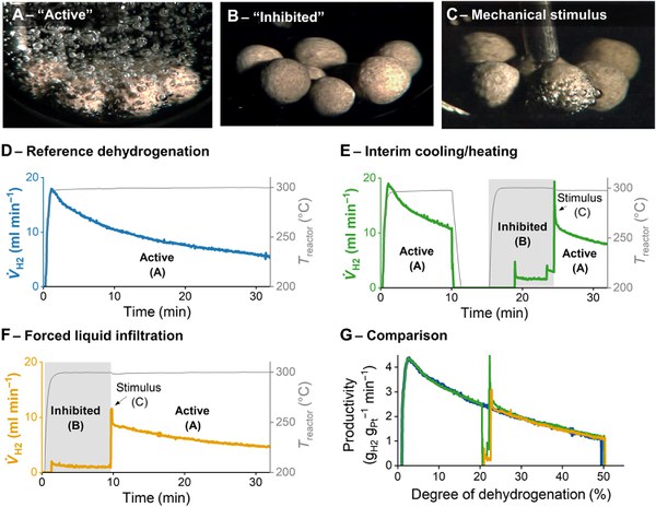 Nucleation as a rate-determining step in catalytic gas generation reactions from liquid phase systems (Science Advances, 2022)