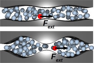 Active microrheology in corrugated channels: Comparison of thermal and colloidal baths (Journal of Colloid and Interface Science, 2022)