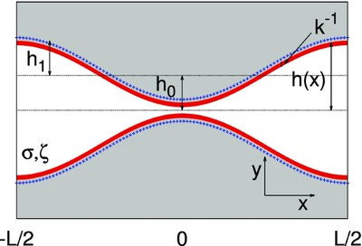 Local electroneutrality breakdown for electrolytes within varying-section nanopores (The European Physical Journal E, 2024)