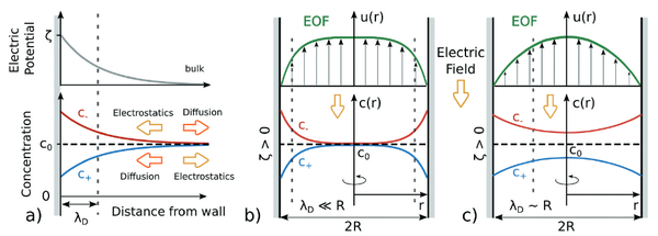 Electroosmosis in nanopores: computational methods and technological applications ( (Advances in Physics: X, 2022)