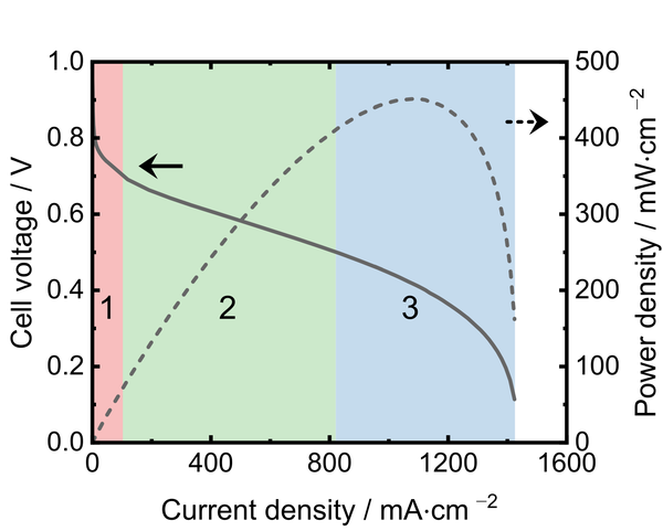 Experiments: Primary data for linear sweep voltammetry